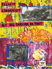 Everything I write is true av Ellisiv Lindkvist (Innbundet)