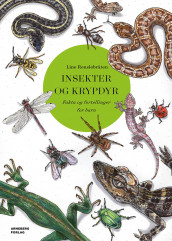Insects and reptiles av Line Renslebråten (Innbundet)