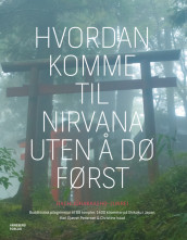 How to get to Nirvana without dying first av Christine Istad og Kari Gjæver Pedersen (Innbundet)