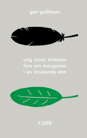 A Young Thrush in a Flowing Elm at Five O’Clock in the Morning av Geir Gulliksen (Innbundet)