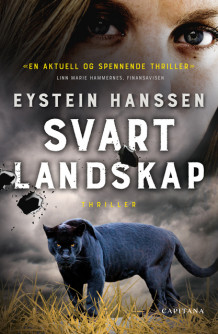 Svart Landskap av Eystein Hanssen (Ukjent)